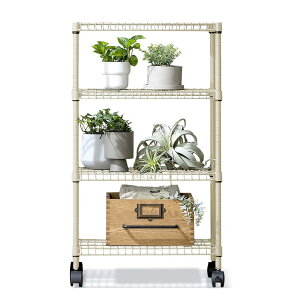 ACXI[} J[X`[VFt X`[bN LX^[t 61.5 [bN 4i [I ^bN ^VFt I I fXN [  N[