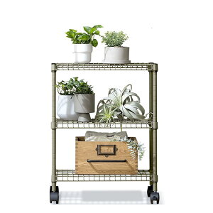 ACXI[} J[X`[VFt X`[bN LX^[t 61.5 [bN 3i [I ^bN ^VFt I I fXN [  N[