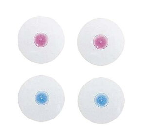 ̃S𗎂ƂIی^ Vv[ uV (4)