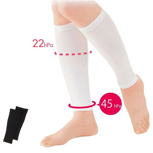 y11/10!|Cg5{zT|[^[yC \bNX ×p  Ōt  a@ i[X[ lC ߁z6081