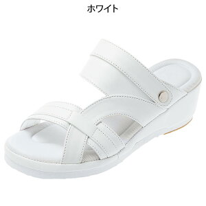 ƂӂӃC\[ 2Wayyi[XT_   a@ Ōt Ȃ ȉqm ItBX  r  r  q[5cm ubN y TCY zCg 傫TCY 