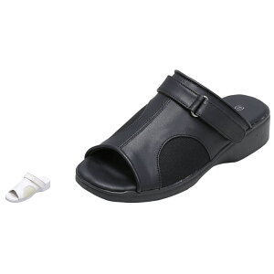 啝2Wayi[X[T_yi[XT_  a@ Ōt ȉqm ItBX   O r  ubN y TCY  zCg i[X[ lC ߁z8323