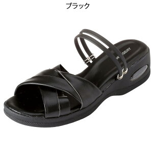 ^[J[2WayyEVAGA[T_yi[X  a@ Ōt ȉqm ItBX  i[X[ lC ߁z8401