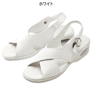 [33OFF]jbgAbp[NXGA[T_yyVX[p[Z[ i[XT_  a@ Ōt ȉqm ItBX  GA[T_  u  obNxg i[XT_ l