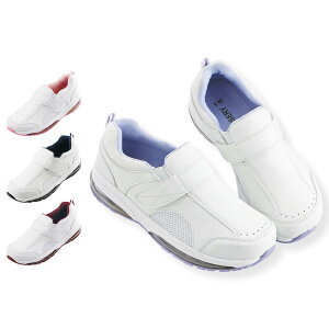 w炭_uGA[V[Y ʃt@Xi[yi[XV[Y ɂ Ōt  PA  GA[V[Y C i[X[ lC ߁z13829