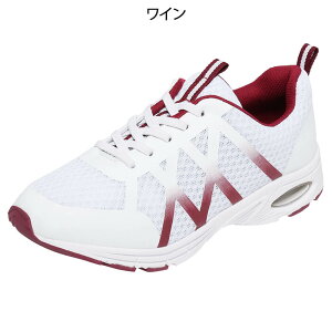 y11/30|Cgő10{IzCgtBbgGA[V[Y(bV) (22.5cm`28cm)yItBX  GA[\[ ɂ C y NbVC\[  X|[eB  Xj