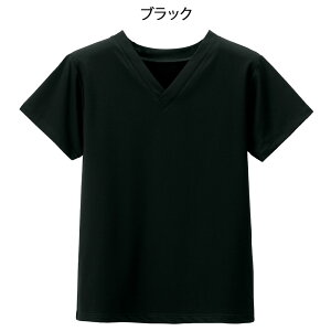 ڐG⊴XNuCi[COOL(/jpjy i[X Ō   j jp lC ߁z 17181