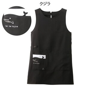 y12/1|Cgő4{IzJtAj} C̃Gv(`jbN^) yi[X Gv  a@ ۈm Ōt ȉqm i[X[ lC ߁z 3244