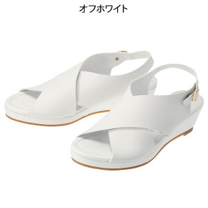 y11/30|Cgő10{Iz}[L[fI i[XT_ S`LLyi[X  a@ Ōt ȉqm ItBX  킢 i T_i[X[ lC ߁zMD8387