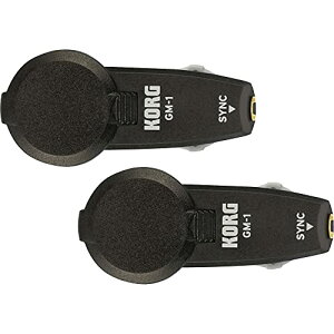 KORG e| Cz^ gm[ 2Zbg GM-1 2PCS }[`Ooh _X`[ OKɍœK ubN