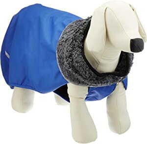 Pomppa(|bp) yX |bp lCr[u[ p 52