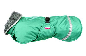 Pomppa(|bp) yX |bp ~g 60