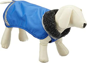 Pomppa(|bp) yX |bp lCr[u[ p 31