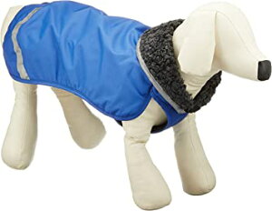 Pomppa(|bp) yX |bp lCr[u[ p 37