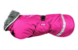 Pomppa(|bp) yX |bp 2019CgsN 44