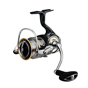 _C(DAIWA) XsjO[ 20 rAX LT3000(2020f) Cނ ނ AEghA