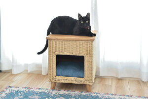 ybgnEXXc[ i i` PET-63 J azumaya ybgnEX ybgxbg  L NbVt rt Vt VR ؐ ^  킢 [ XNGA {bNX PET-63 