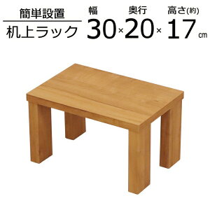 ֗ȒI nC^Cv 30×s20×17cm