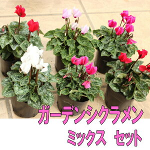 K[fVN@~bNX@3Zbg@9Z`|bg@3