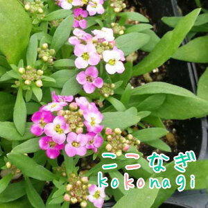 AbTiXC[gAbTj@sN@c@9Z`|bg