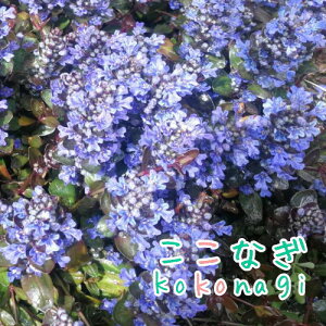 AWK@`R[g`bv@c@9Z`|bg@3