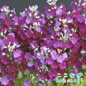 v@}RCfX@bh@9Z`|bg@3@@炻@TN\E