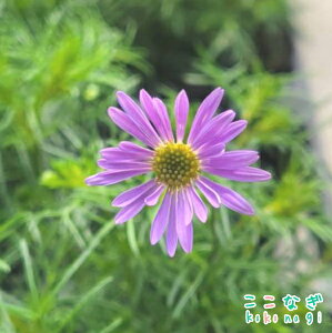 uLJ(ݗ)@9Z`|bg@3