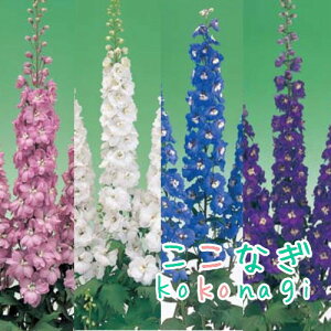 ftBj[@ftBjE@F1 I[@c@Iׂ5F@10.5Z`|bg@3.5