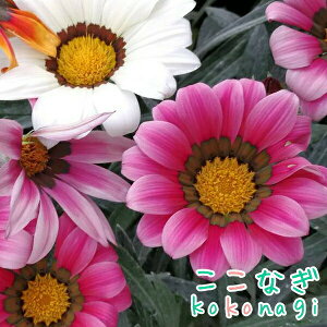 KUjA t ~bNX@Vo[[t@c@9Z`|bg@3