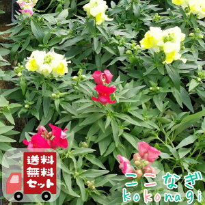 yE12PZbgzLM\Ei␫j~bNX@@񂬂傻@9Z`|bg@3@ԕcZbg