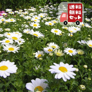 yE12PZbgzNTZ}@phT@(m[X|[/Xm[h)@9Z`|bg@3@ԕcZbg