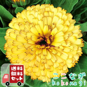 yE12PZbgzJWiLZJjVgXAC{[@␫@9cm|bg 3@ᵉԁ@񂹂񂩁@