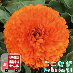 yE12PZbgzJWiLZJjVgXIW@␫@9cm|bg 3@ᵉԁ@񂹂񂩁@