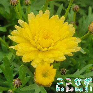 lG炫}[Kbg@AWFN@CY@GWFbNV[Y@10.5Z`|bg@3.5