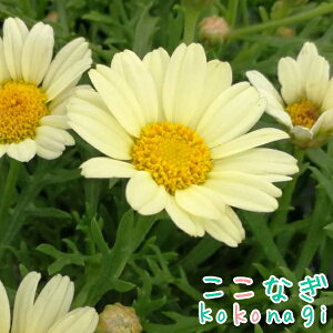 lG炫}[Kbg@AWFN@pXe@GWFbNV[Y@10.5Z`|bg@3.5