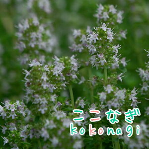 ^C@c@R^C@n[u@9Z`|bg@3