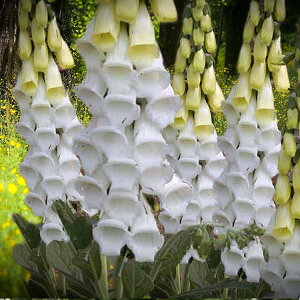 WM^X@Xm[eBuiXm[Vuj@9Z`|bg@3