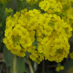 hAbT@TLT`@iS[h_Xgj@9Z`|bg@3