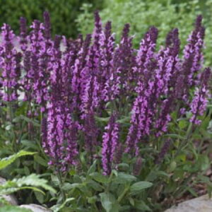 TrA Xyo l[T@[Y@9Z`|bg@3