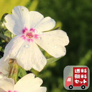 yE12pZbgzō@A[WOEO[X@9Z`|bg@3@VoUN