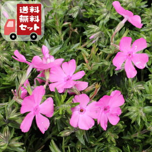 yE12pZbgzō@_jGNbV@9Z`|bg@3@VoUN