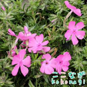 ō@_jGNbV@9Z`|bg@3@@VoUN