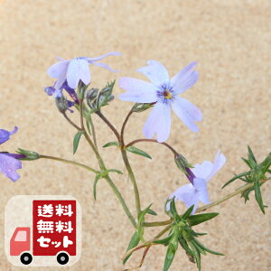 yE12pZbgzō@u[@9Z`|bg@3@VoUN