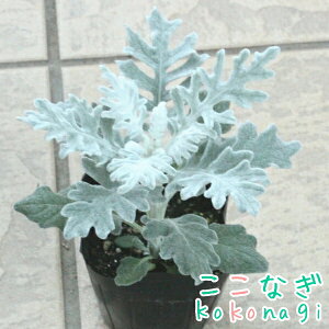 V^GMN@9Z`|bg@c@3@낽@e