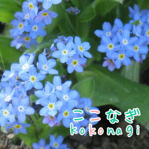 XiOT@u[@ܖY@Yȑ@c@9Z`|bg@3