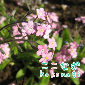 XiOT@sN@ܖY@Yȑ@c@9Z`|bg@3