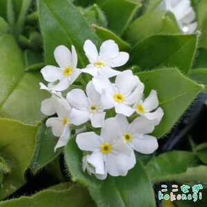 XiOT@zCg@ܖY@Yȑ@c@9Z`|bg@3