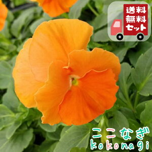 yE12PZbgzpW[@NAIW@9Z`|bg@3@ԕcZbg