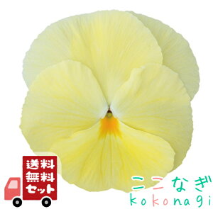 yE12PZbgzpW[@v[YiCG[j@9Z`|bg@3@ԕcZbg