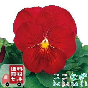 yE12PZbgzpW[@NAXJ[bg@9Z`|bg@3@ԕcZbg